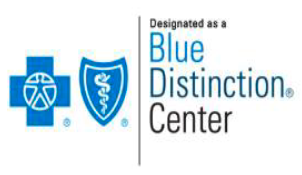 Blue distinction center spine badge