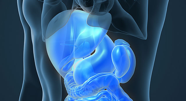 Gastroenterology at Lakewood Ranch Medical Center located in Lakewood Ranch, Florida