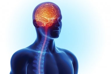 Lakewood Ranch Stroke and Cerebrovascular Center Earns Advanced Accreditations Lakewood Ranch Stroke and Cerebrovascular Center Earns Advanced Accreditations